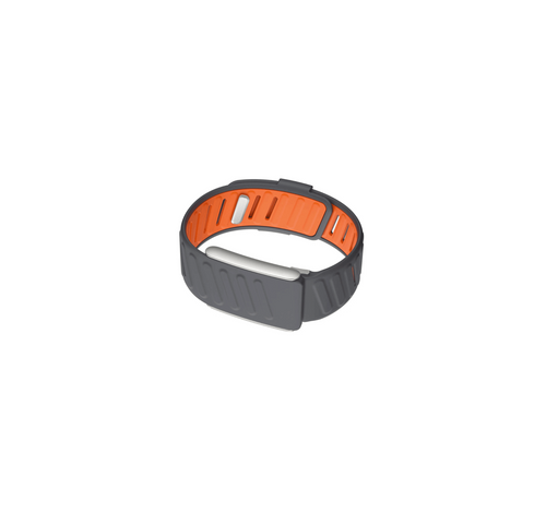 SportFlex Whoop Band