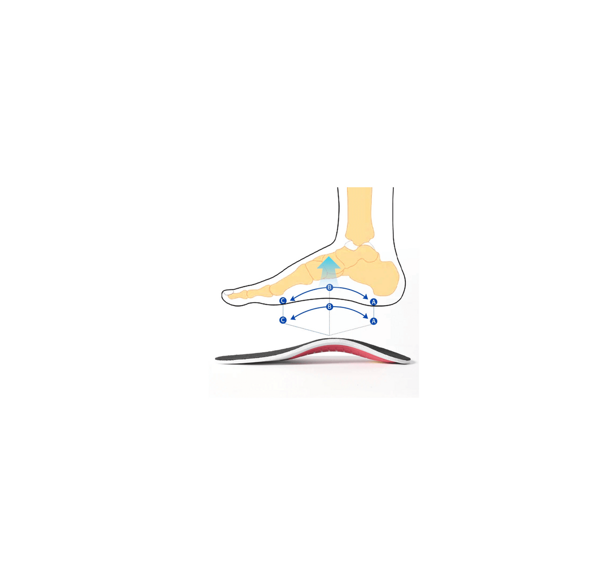 Movefit Orthotic Insoles